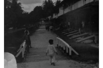 an image from the collection