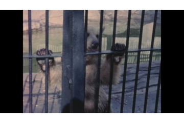 play video for Compilation of family movies from Hackney in the 1970s
